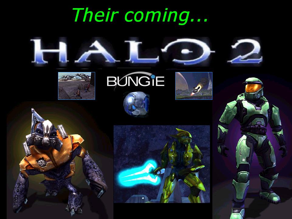 halowall4.jpg