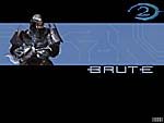 brute1024x768.jpg